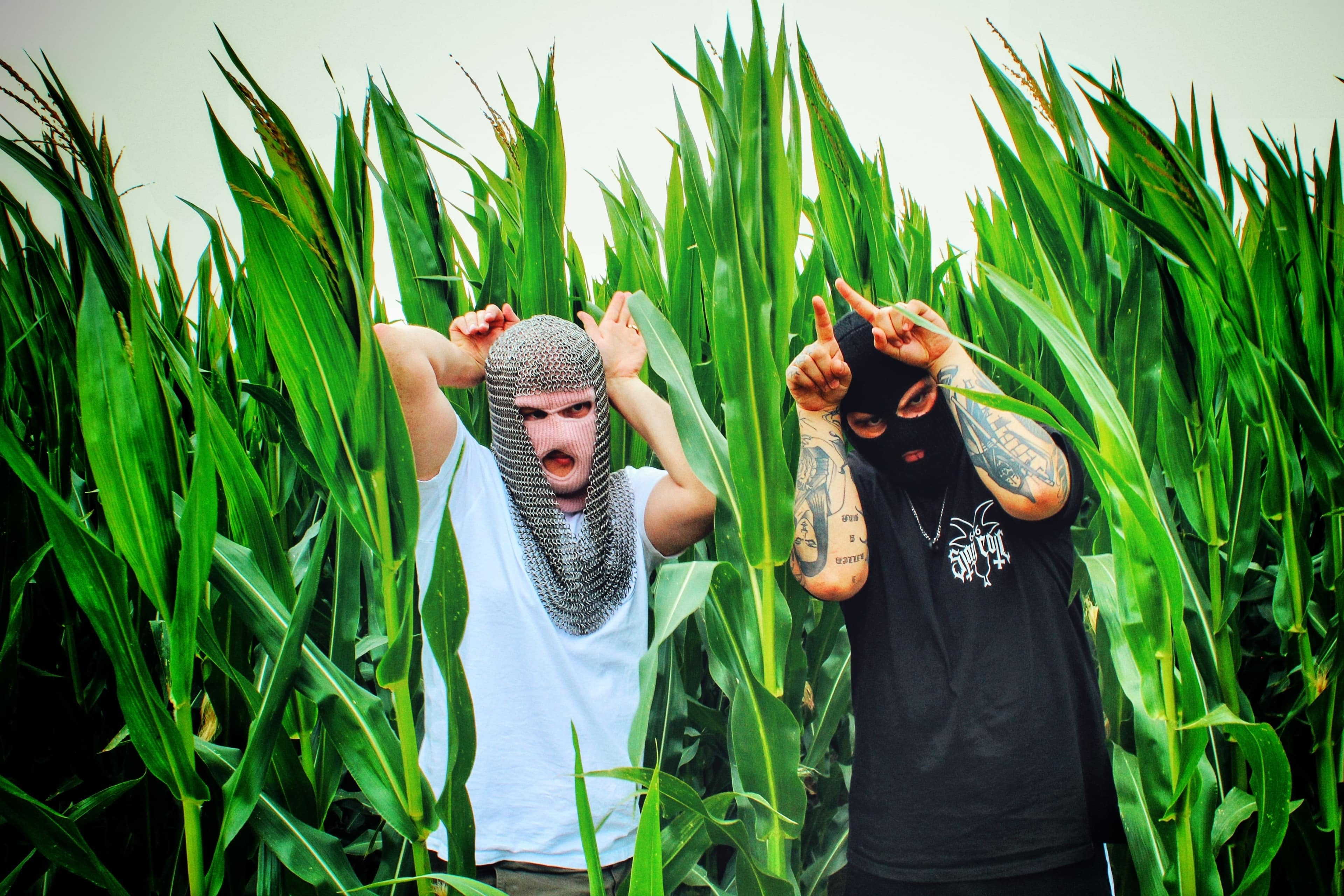 73298-21088-Mittel-Alta-Bandfoto-1.jpg